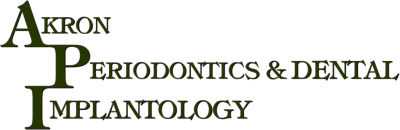 api logo